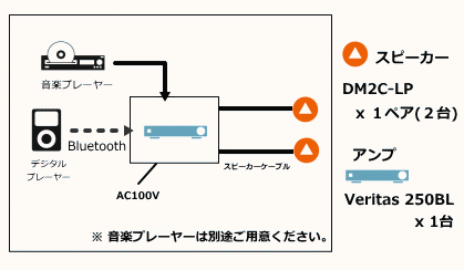 システム構成 DM2C VERITAS 250BL