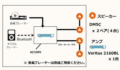システム構成 DM5C VERITAS 2160BL