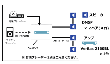 システム構成 DM5P VERITAS 2160BL