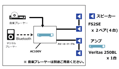 システム構成 FS2SE VERITAS 250BL