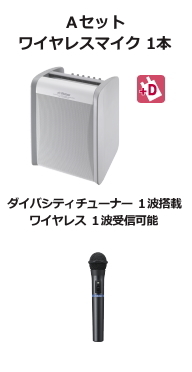 JVC ワイヤレスアンプ ダイバシティ Aセット